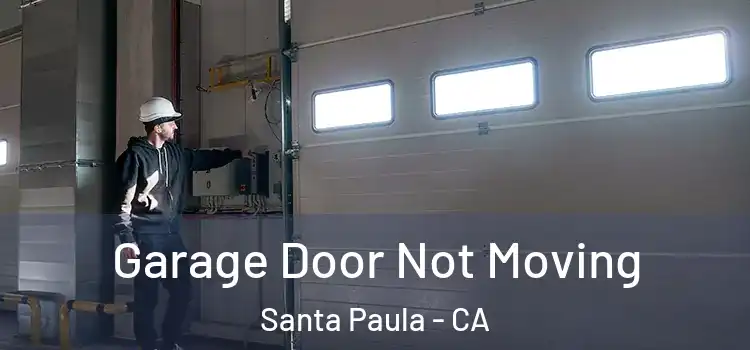  Garage Door Not Moving Santa Paula - CA
