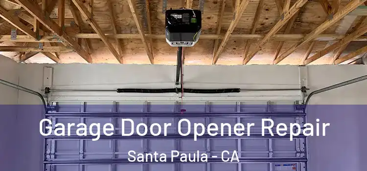  Garage Door Opener Repair Santa Paula - CA