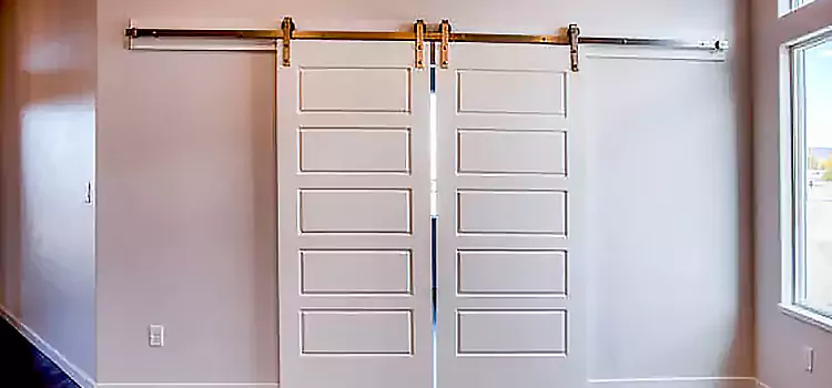 Glass Barn Door with Installation Hardware Kit Santa Paula