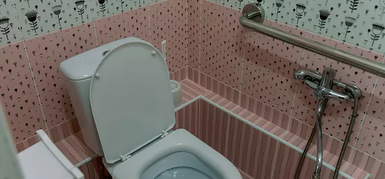 Meeting Diverse Needs With Accessible Restroom Solutions in Santa Paula, CA