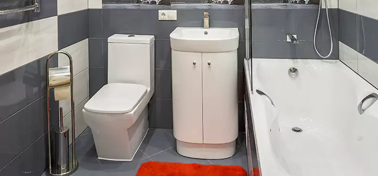 Hansgrohe Shaving Mirror Santa Paula